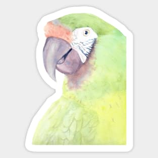 military macaw watercolor portrait parrot painting Sticker